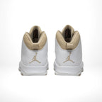 Rear view of Air Jordan 10