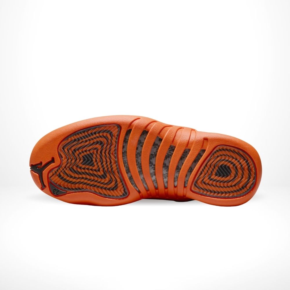 Bottom sole of Air Jordan 12
