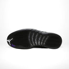 Bottom sole of Air Jordan 12