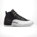 Air Jordan 12