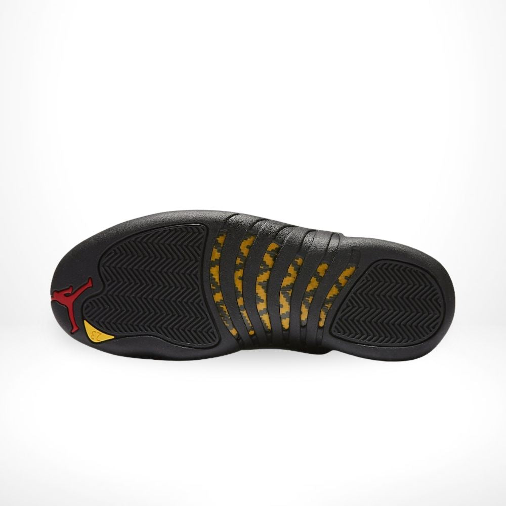 Bottom sole of Air Jordan 12