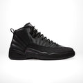 Air Jordan 12
