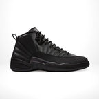 Air Jordan 12