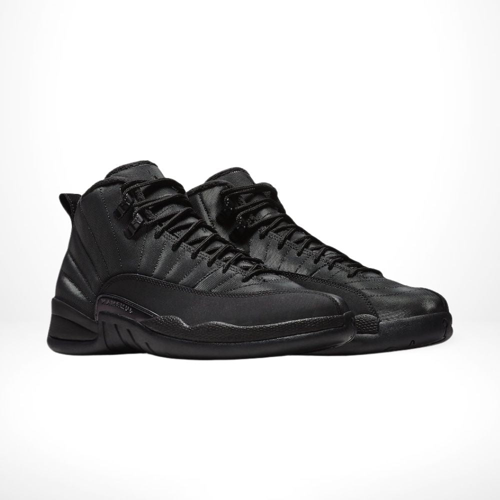 Angle view of Air Jordan 12