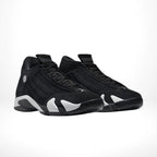 Angle view of Air Jordan 14