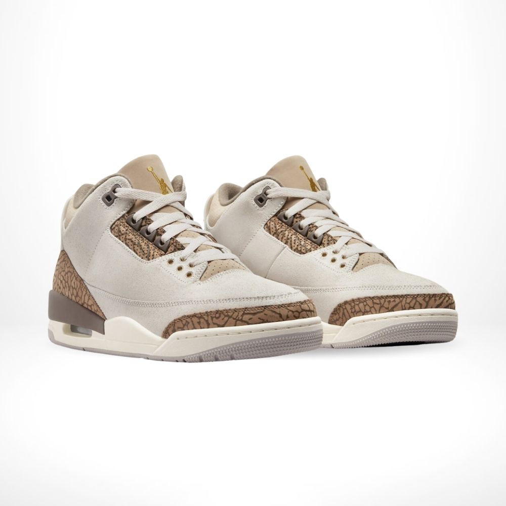 Angle view of Air Jordan 3