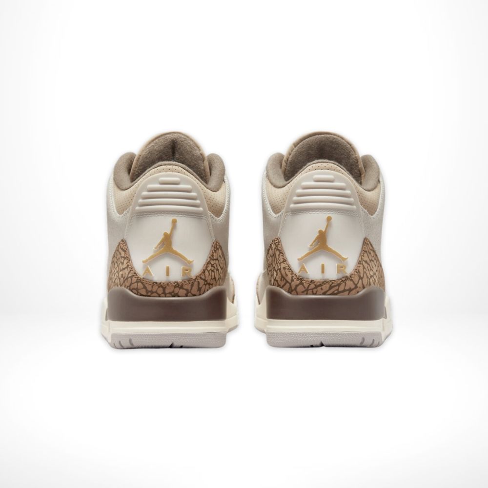 Rear view of Air Jordan 3