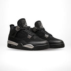 Air Jordan 4 Spotlight