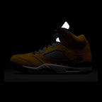 Dark view of the Air Jordan 5