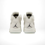 Rear view of Air Jordan 5