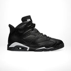 Side view of the Air Jordan 6