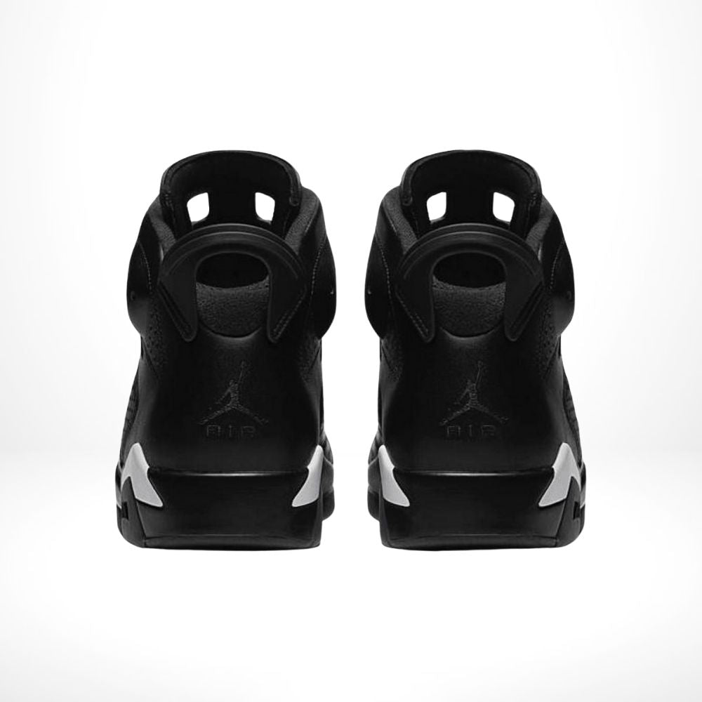 Rear view of the Air Jordan 6