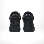 Rear view of Air Jordan 6