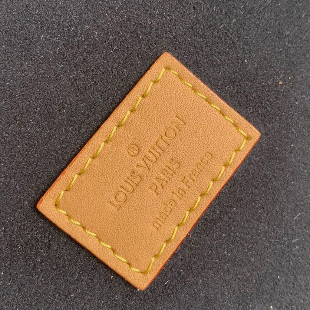 Louis Vuitton CANNES Giant Monogram